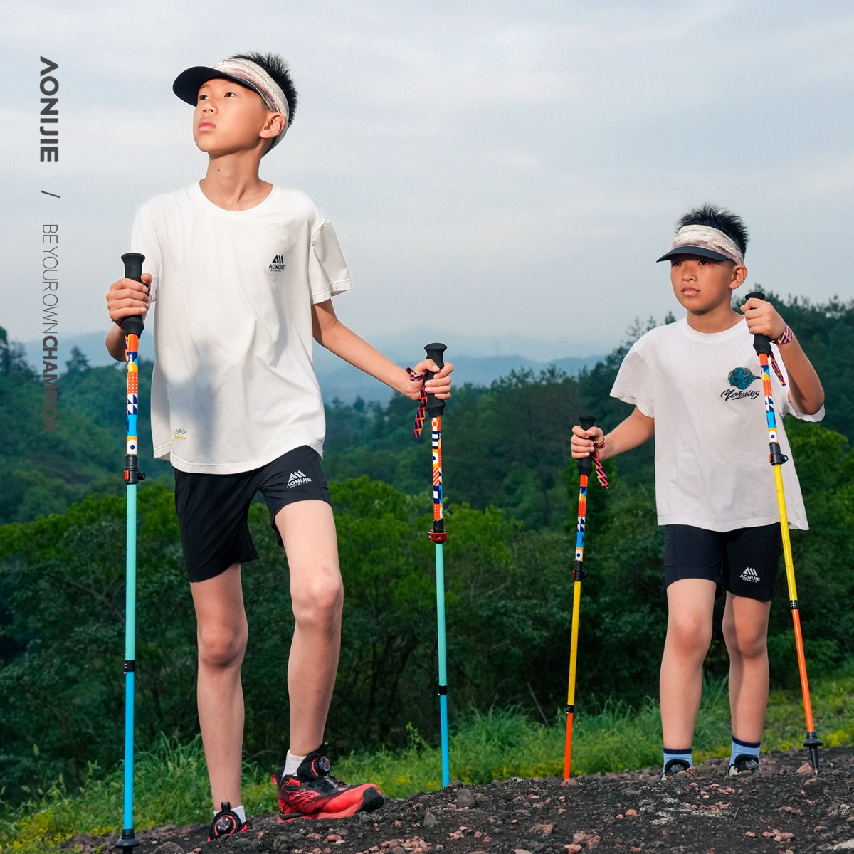 2 шт. AONIJIE E4245 Детские ул – обзор и цена Trekking Pole Carbon