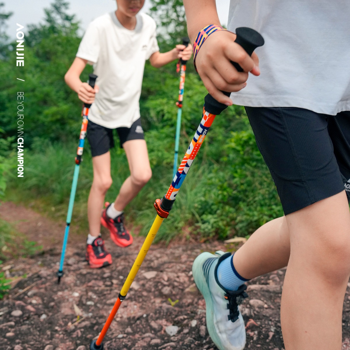 2 шт. AONIJIE E4245 Детские ул – обзор и цена Trekking Pole Carbon