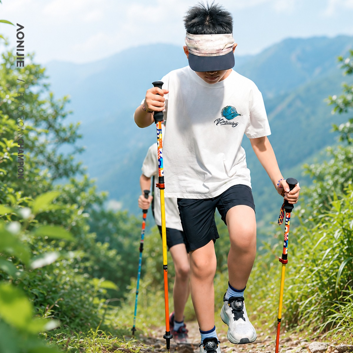 2 шт. AONIJIE E4245 Детские ул – обзор и цена Trekking Pole Carbon